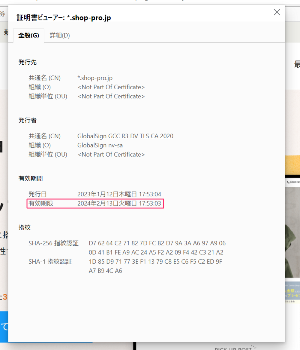 【有効期限切れ】CHARITE PAR COMME CA DU MODE 保証書 有効期限切れ】CHARITE PAR COMME CA DU MODE 保証書