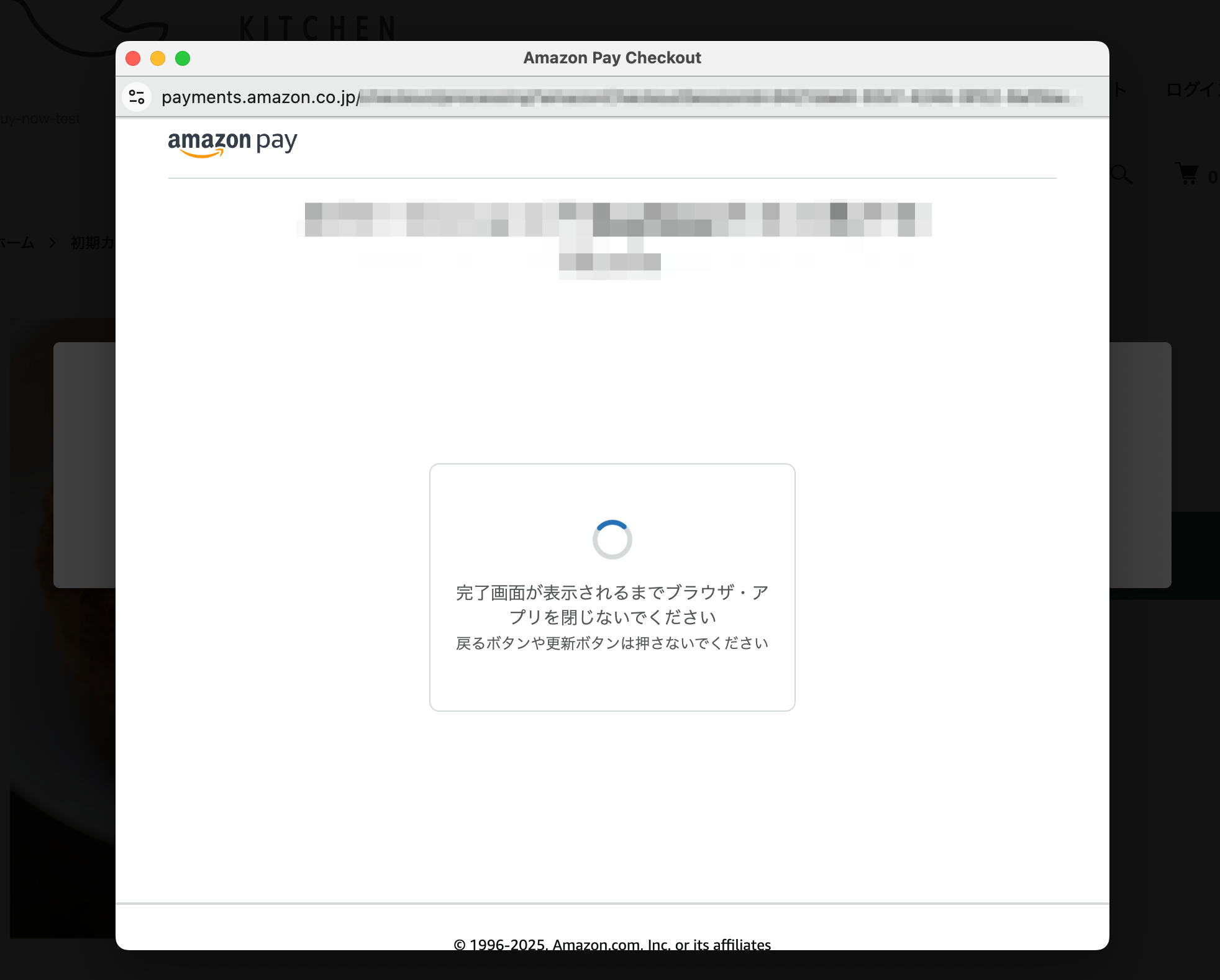 Amazon Pay Buy Now（今すぐ購入）について – カラーミーショップ ヘルプセンター